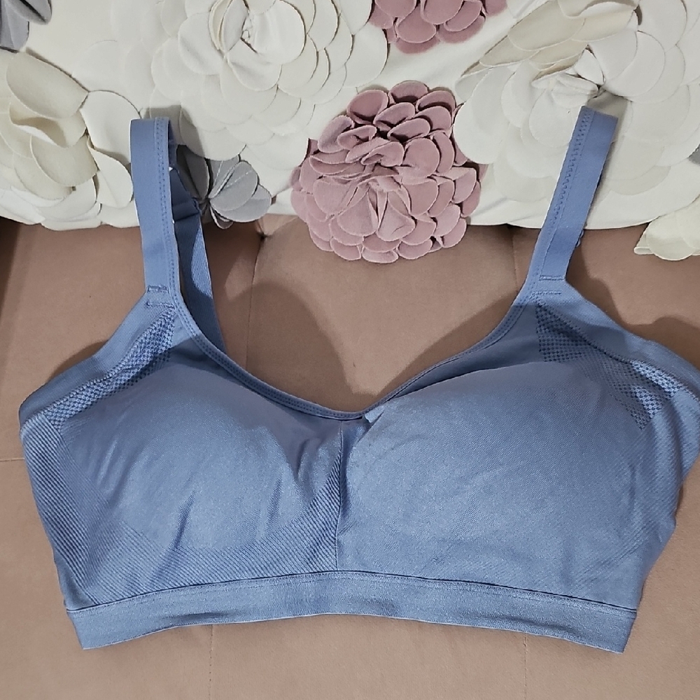 Warner's Soft Blue Women's Bra